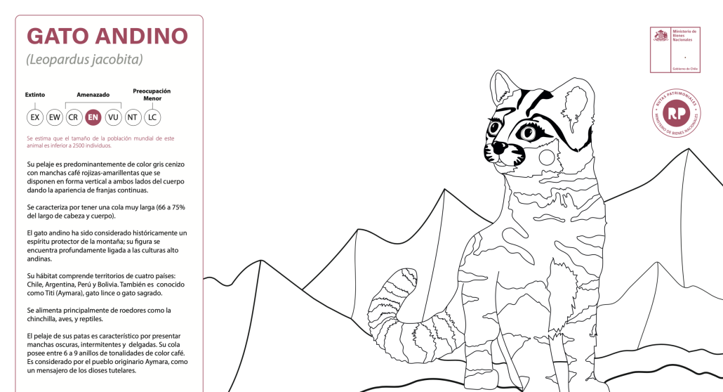 Lámina para colorear: Gato Andino