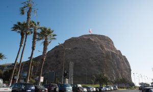 00083_mh_15101_-_copia_0