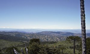 Cordillera_de_Nahuelbuta
