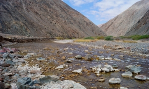 DSC09072