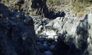 _DSC0926