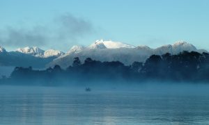 DSCF0973