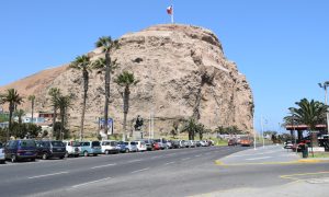 DSC_0509 (1)