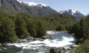 Lago_Palena2