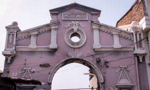 _MG_0862-01