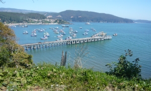 Muelle-de-Lota