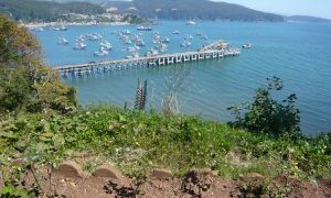 Muelle de Lota
