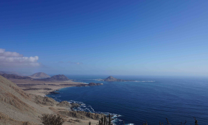 Pan de Azucar