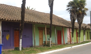 RP40