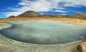 Salar de Surire Salar de Surire