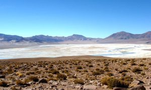 Salar-del-Huasco-Collacagua--Andes-Altiplanicos