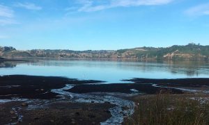 noticia-chiloe